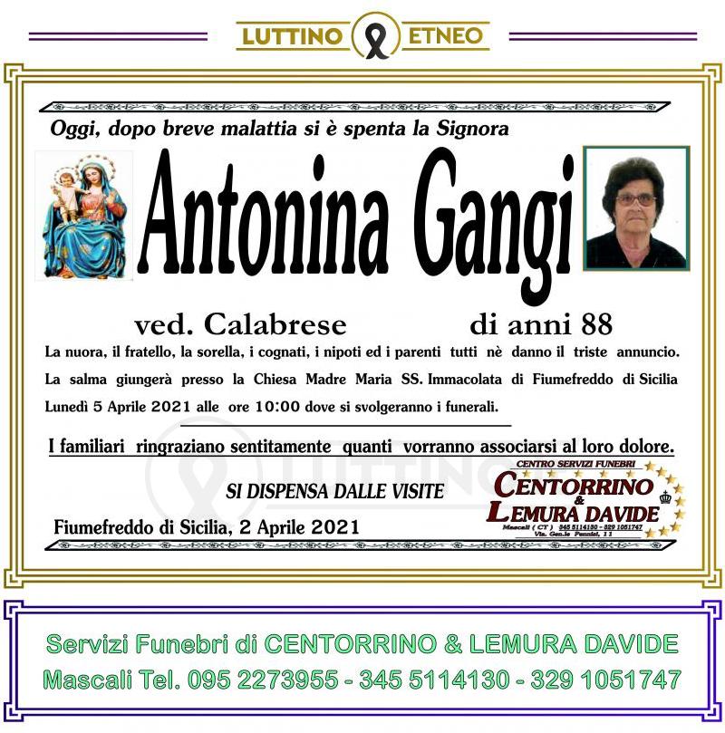 Antonina  Gangi 